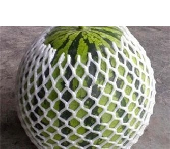 Malla para Melón y Sandía